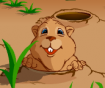 Whack a Ground Hog